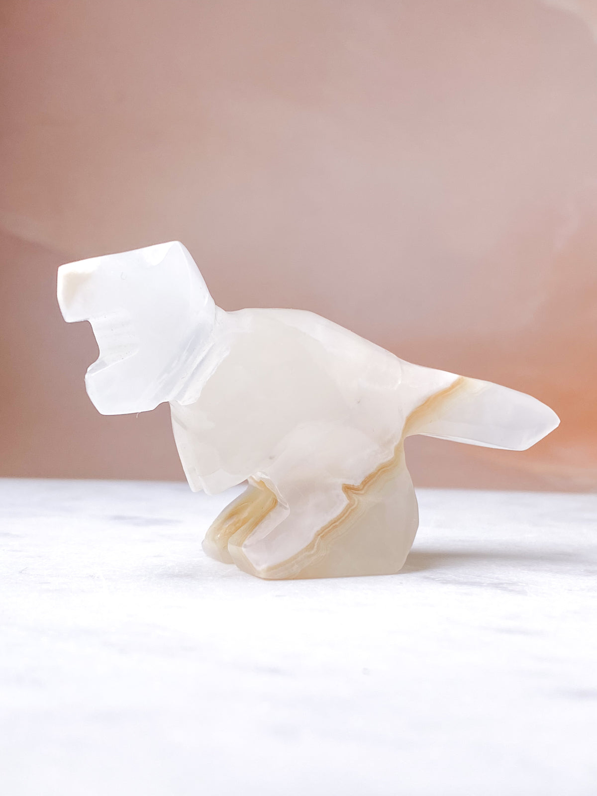 Vit Onyx T-Rex