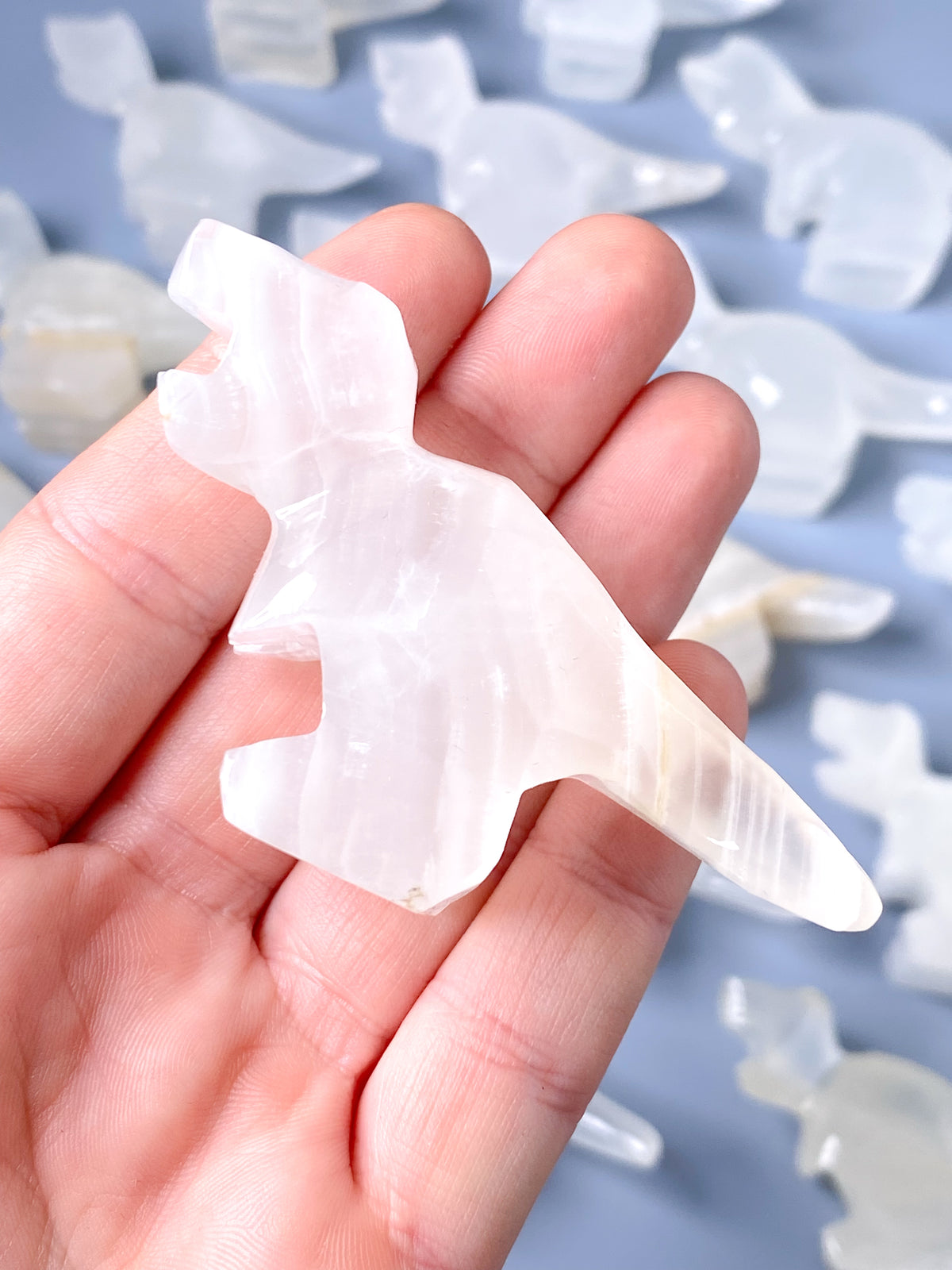 Vit Onyx T-Rex