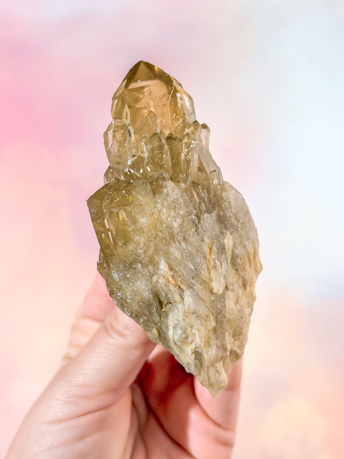 Kundalini Citrin Kluster (Nr. 25)