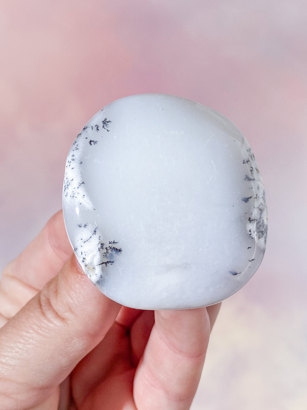 Dendritopal (nr 3)