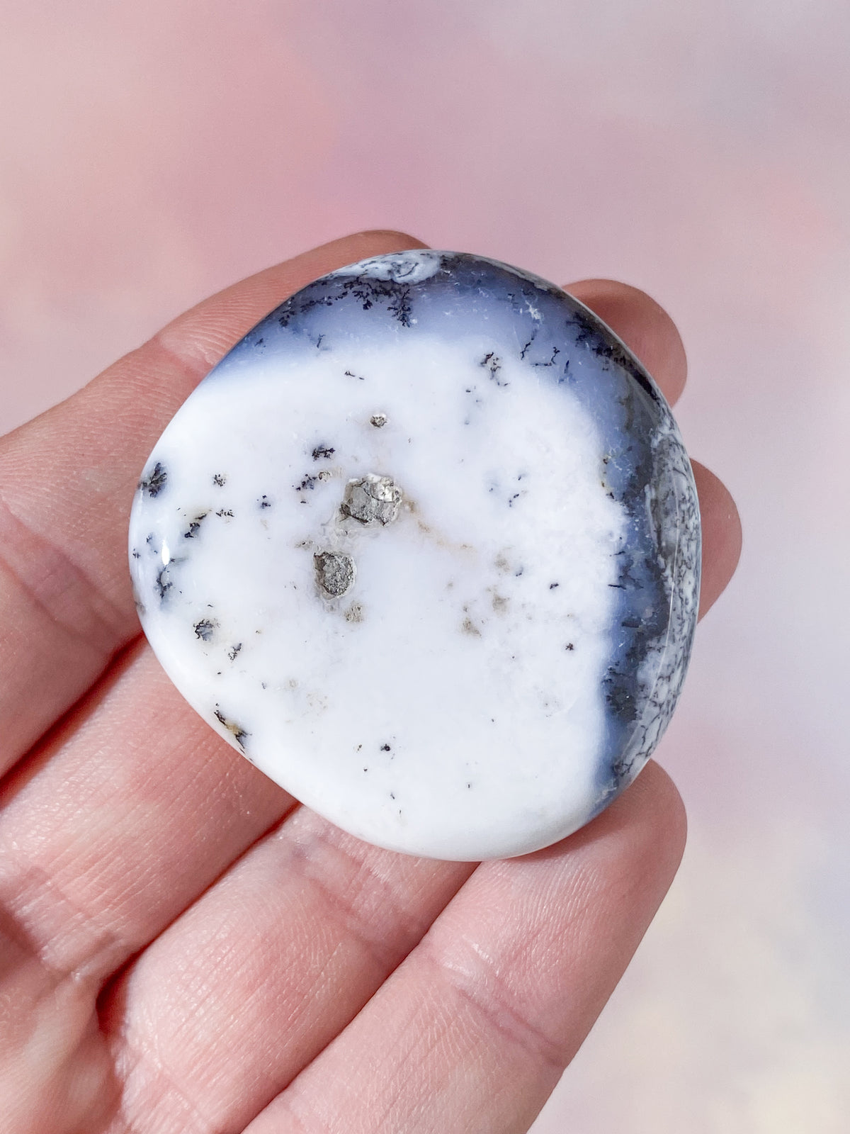 Dendritopal (nr 4)