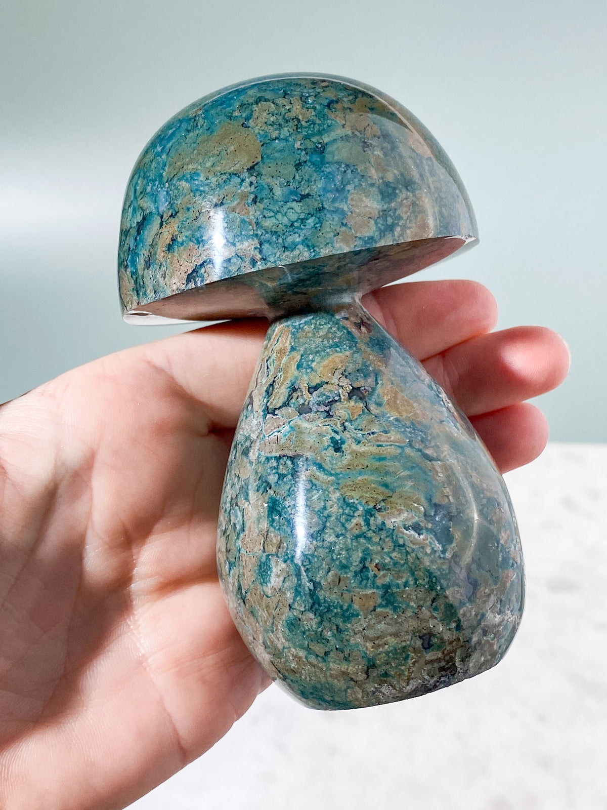 Ocean Jasper Svamp (nr 6)