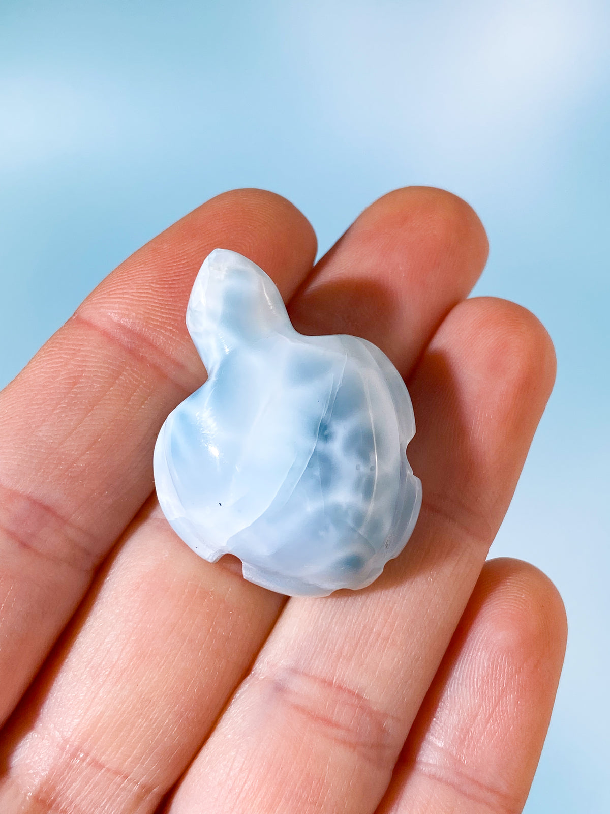 Larimar Sköldpadda (Nr. 1)