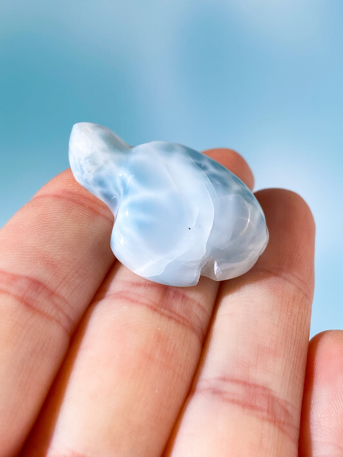 Larimar Sköldpadda (Nr. 1)
