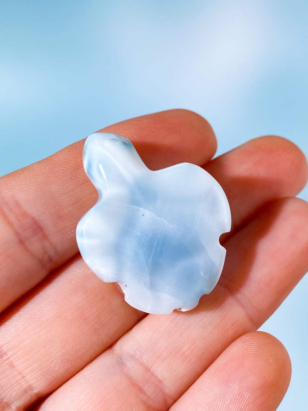 Larimar Sköldpadda (Nr. 1)