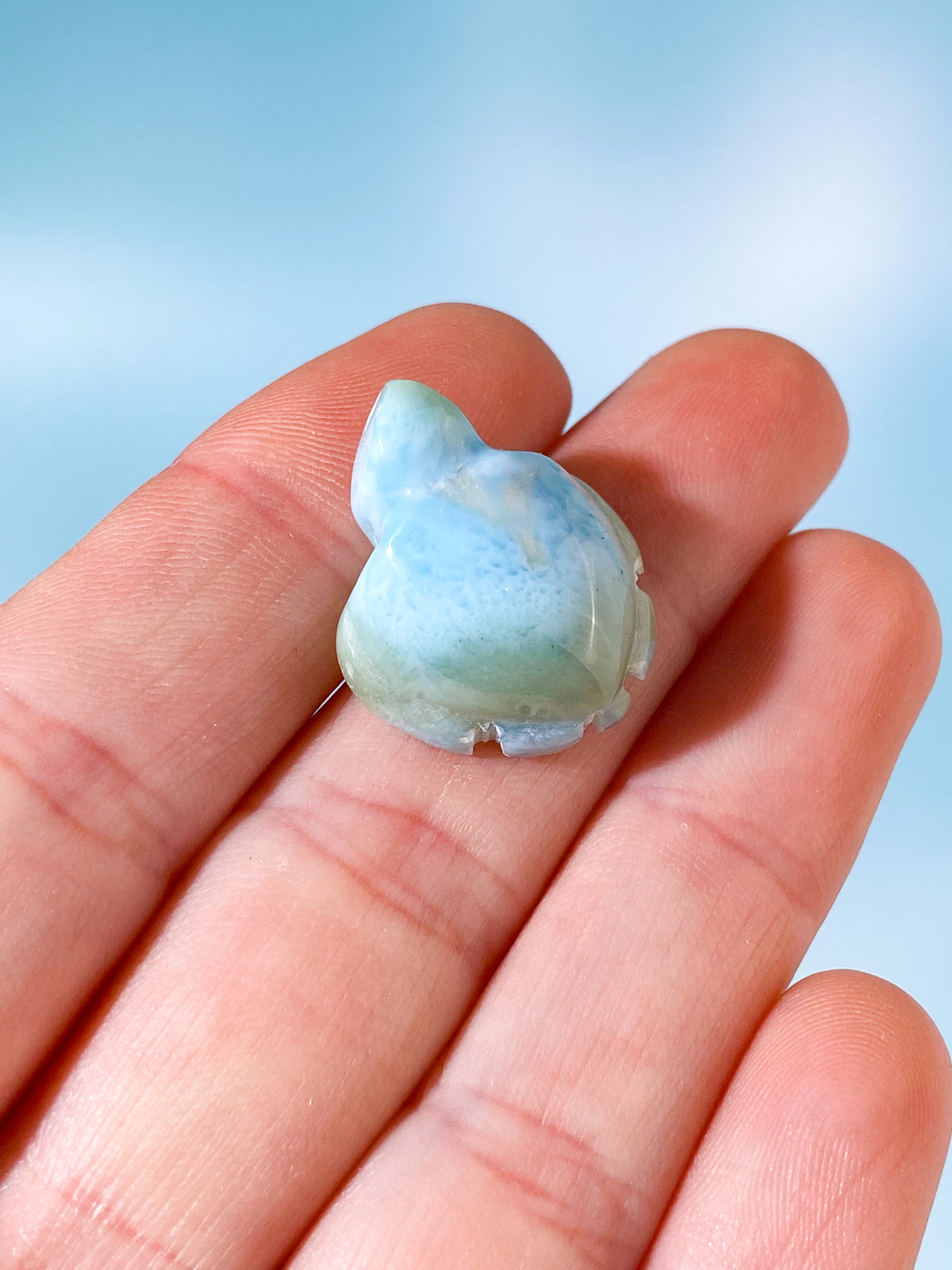 Larimar Sköldpadda (Nr. 2)