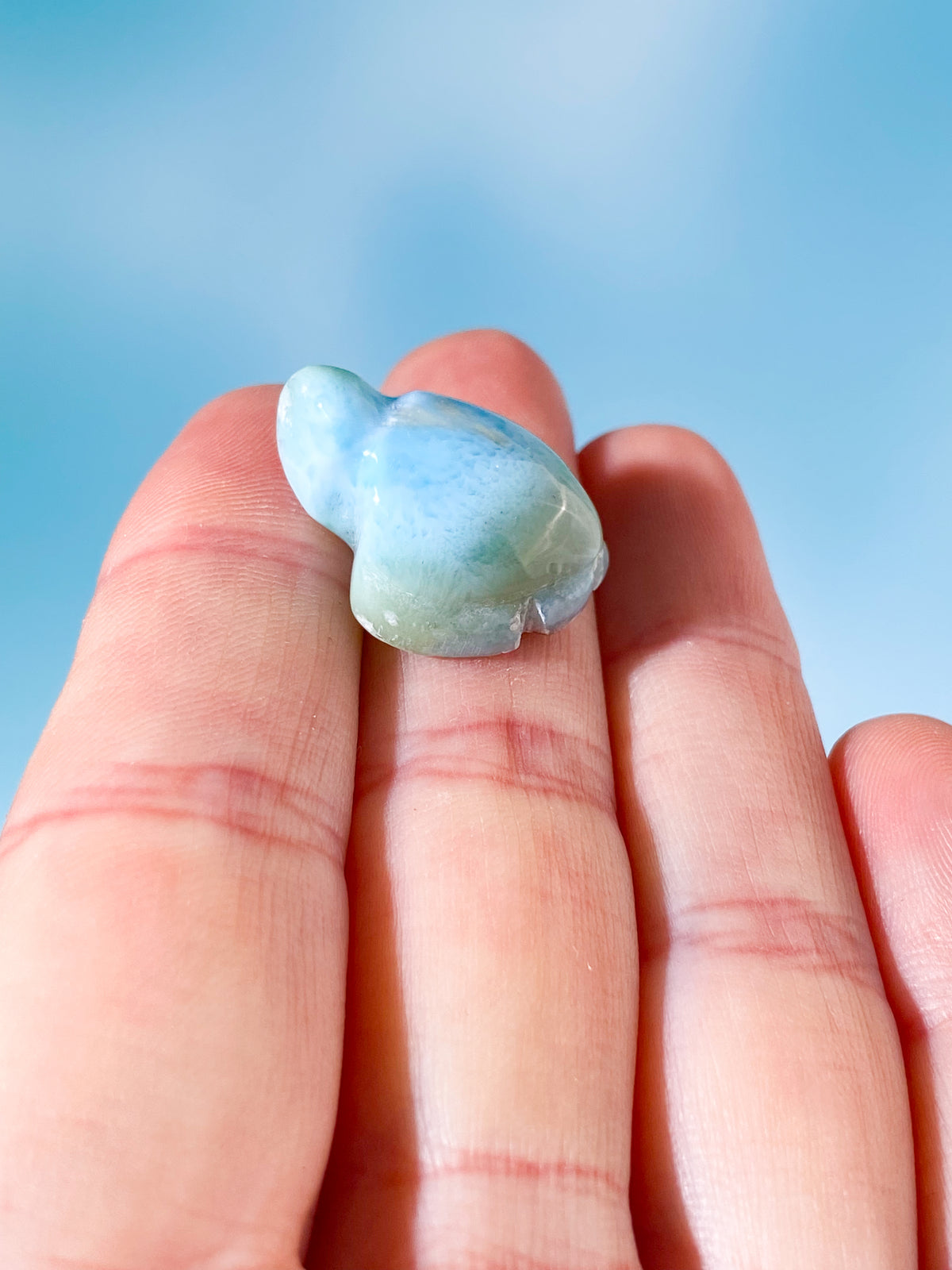 Larimar Sköldpadda (Nr. 2)