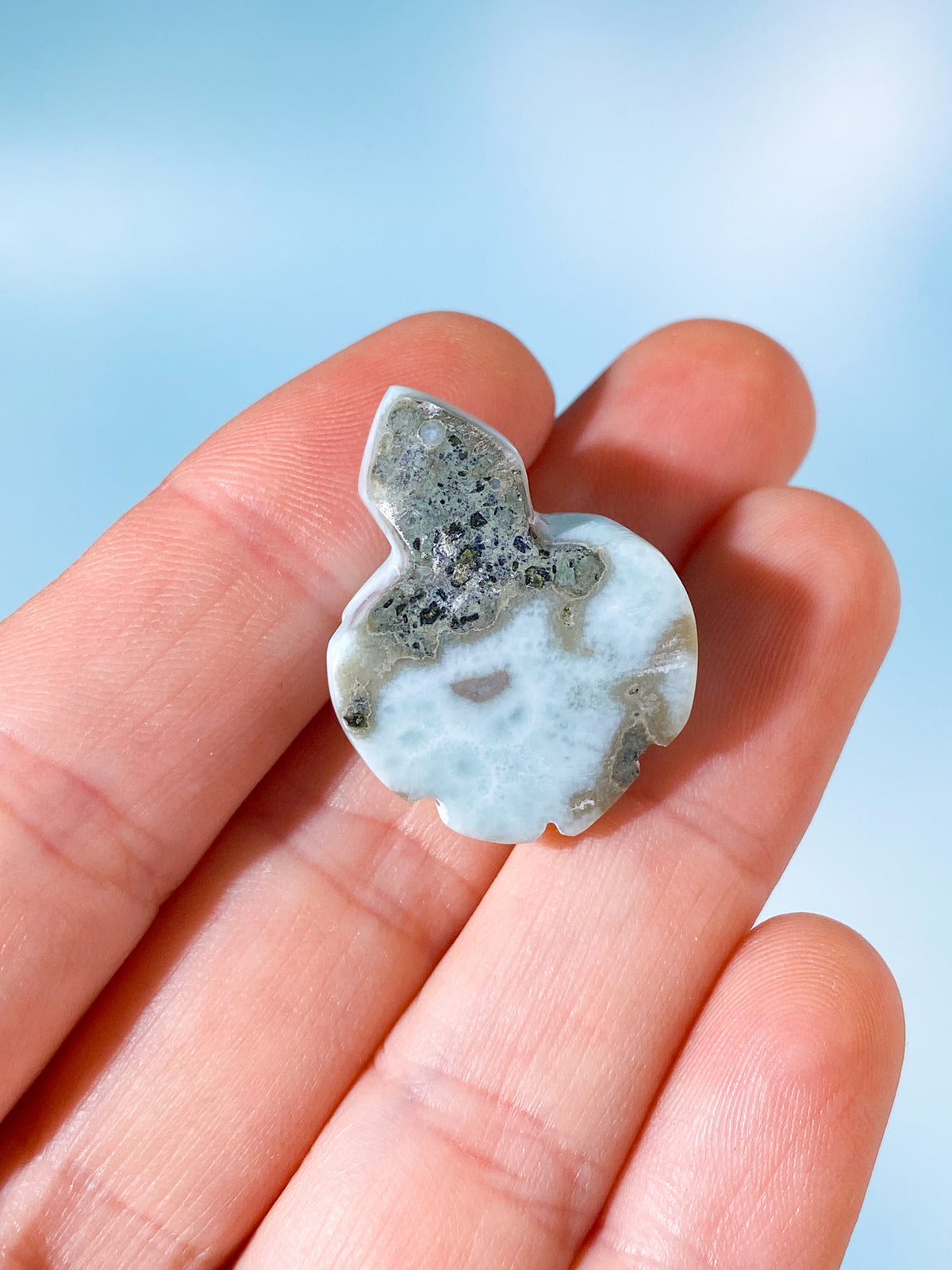 Larimar Sköldpadda (Nr. 3)