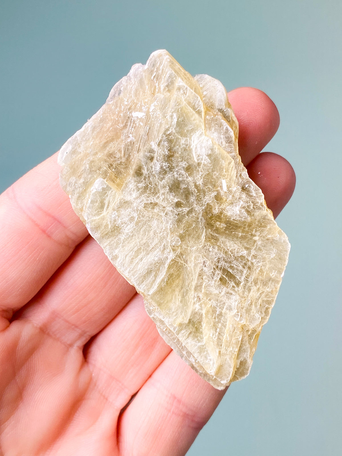 Gyllene glimmerrå (nr 5)