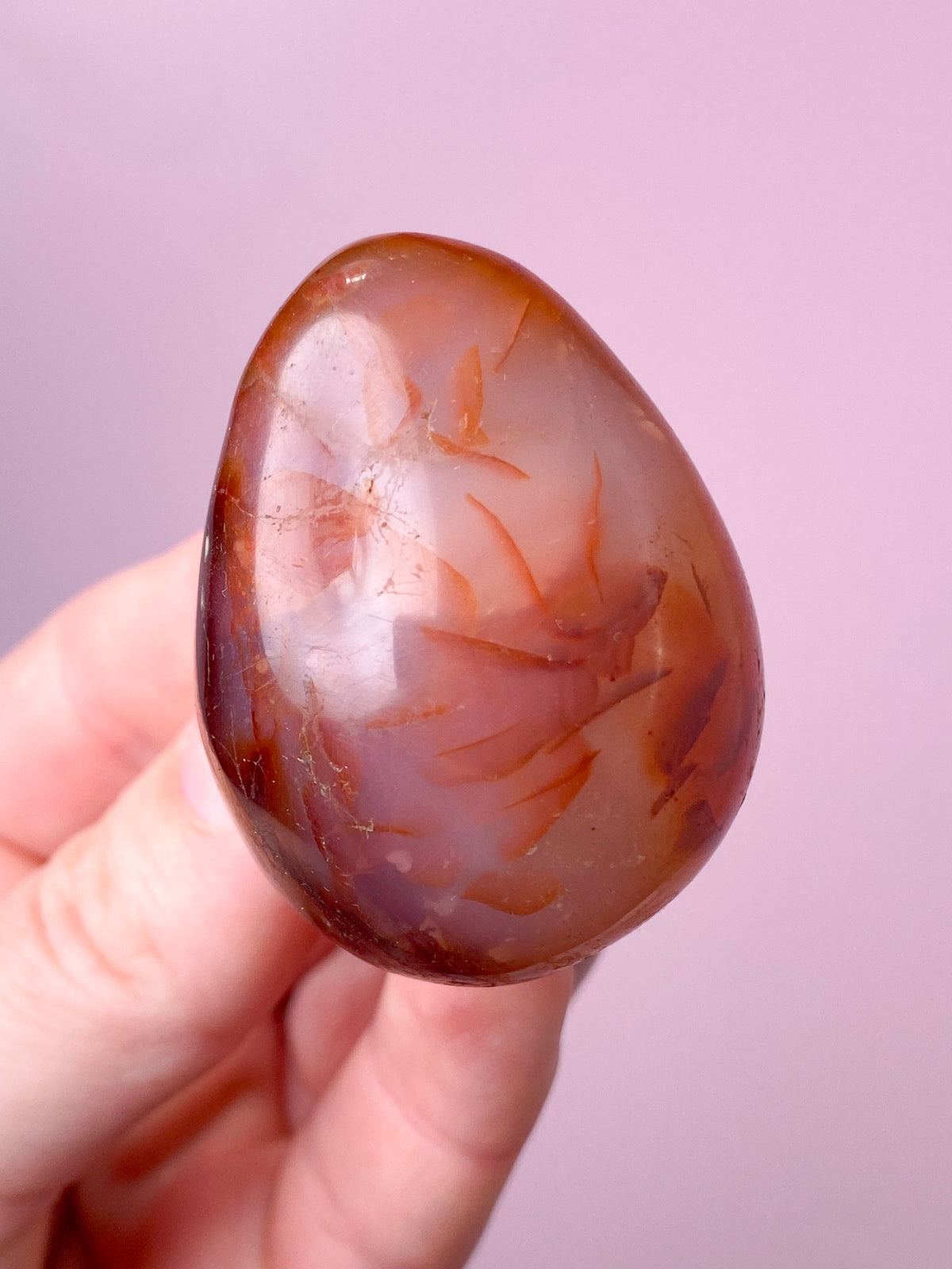 Karneol Ägg (Nr 12)