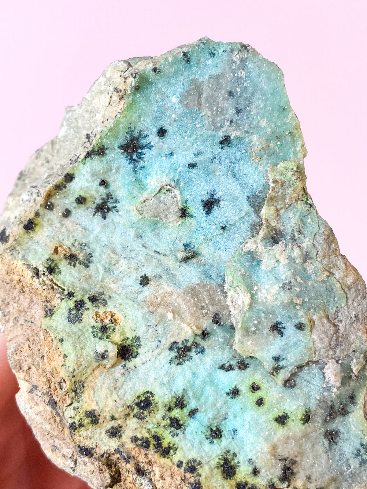 Dendrit Krysskolla (nr 7)