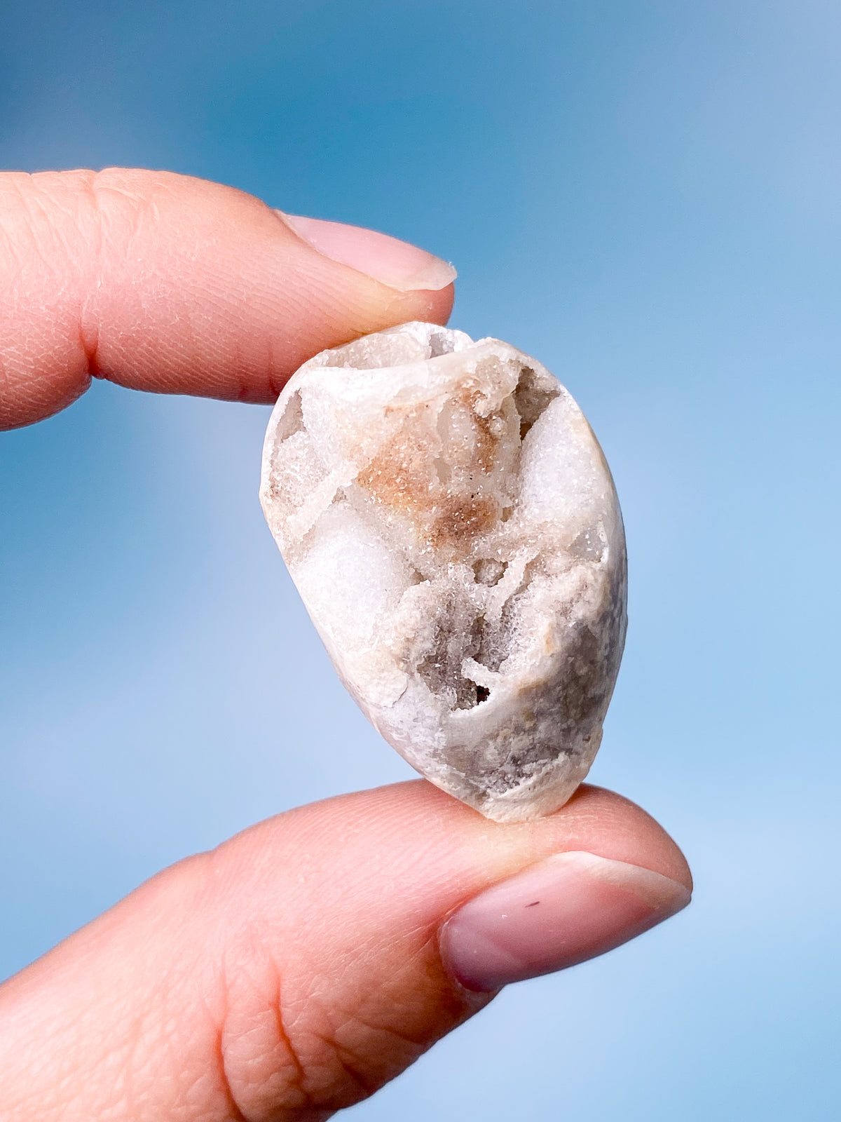 Druzy Conch Fossil (nr 20)