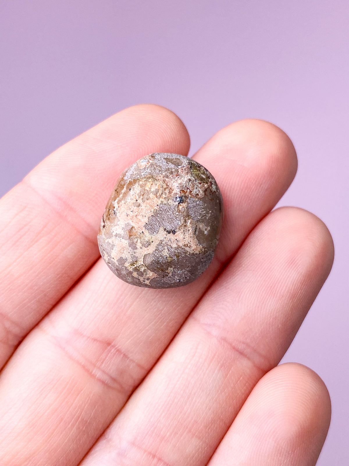 Etiopisk chokladopal (nr 6)