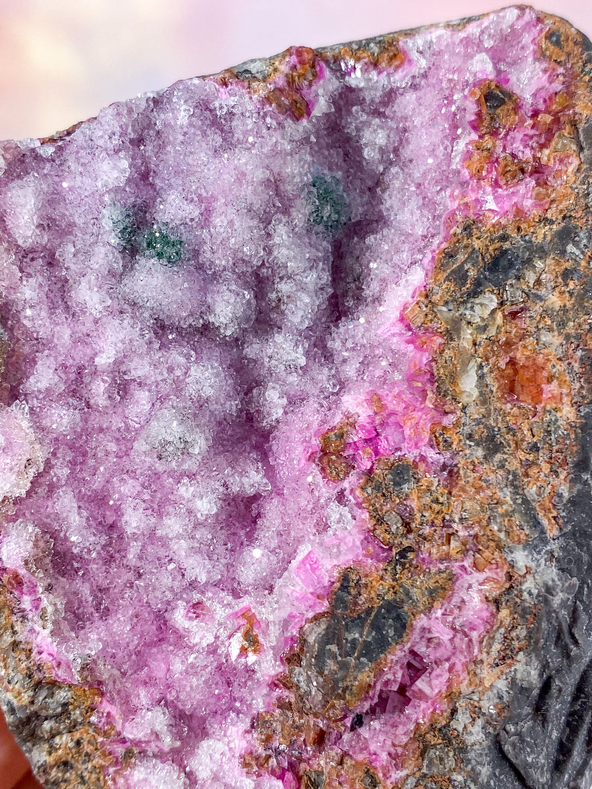 Druzy Kobolt Kalcit Kluster (Nr 28)
