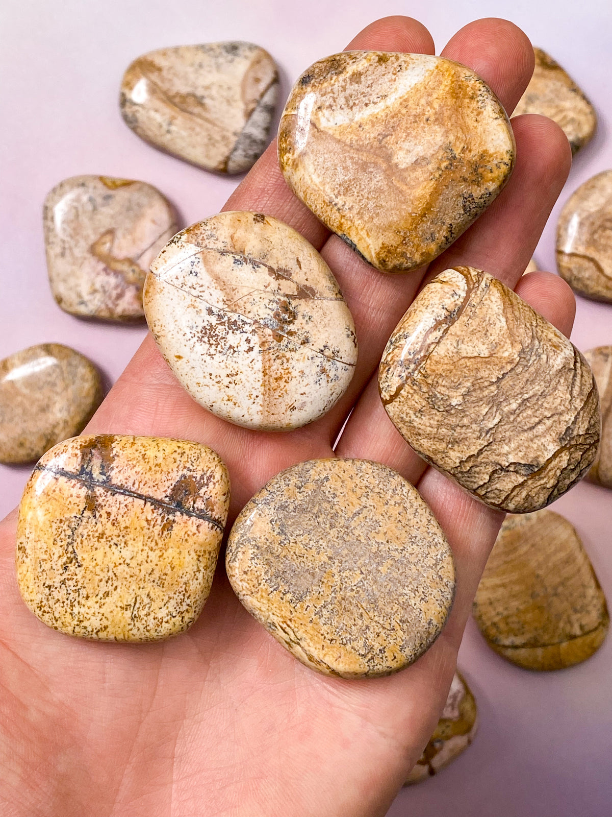 Bild Jasper Disc