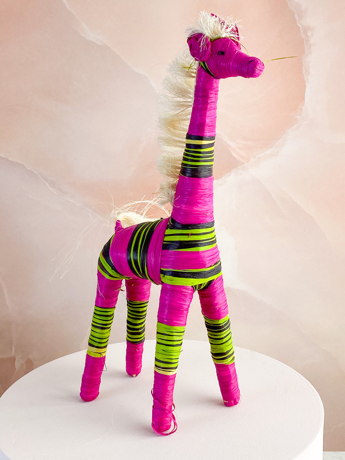 Hand -tråkig giraff från Madagaskar