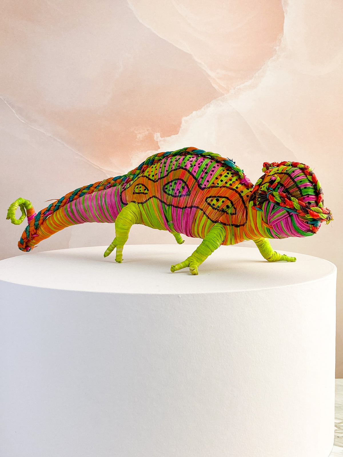 Hand -tråkig kameleon från Madagaskar