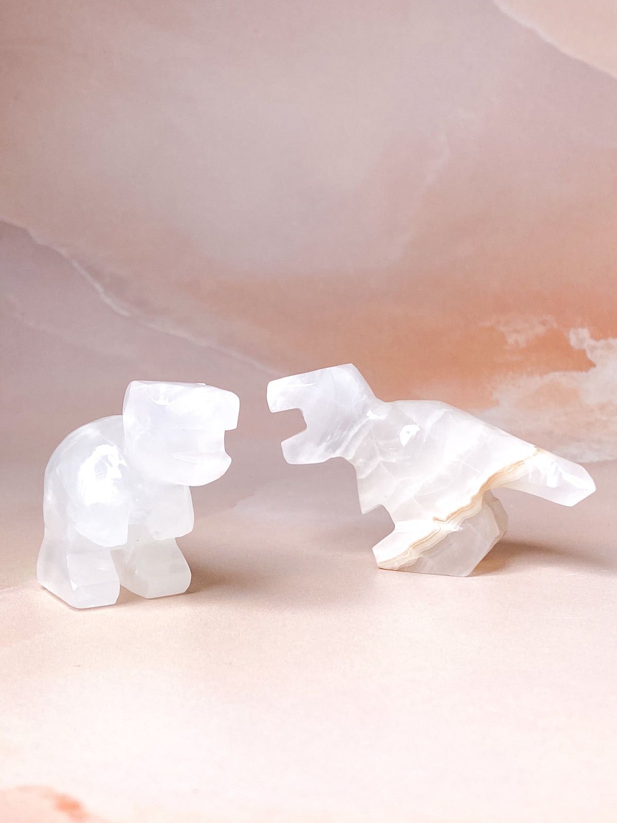 Vit Onyx T-Rex
