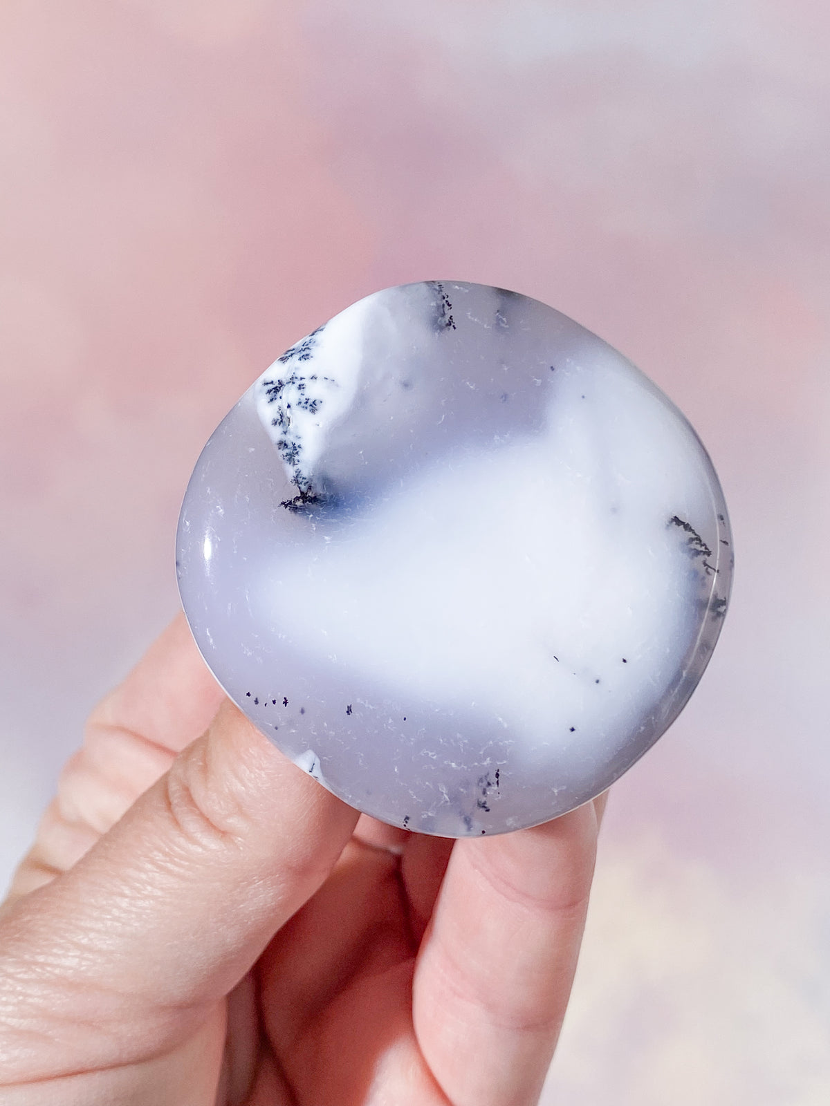 Dendritopal (nr 2)