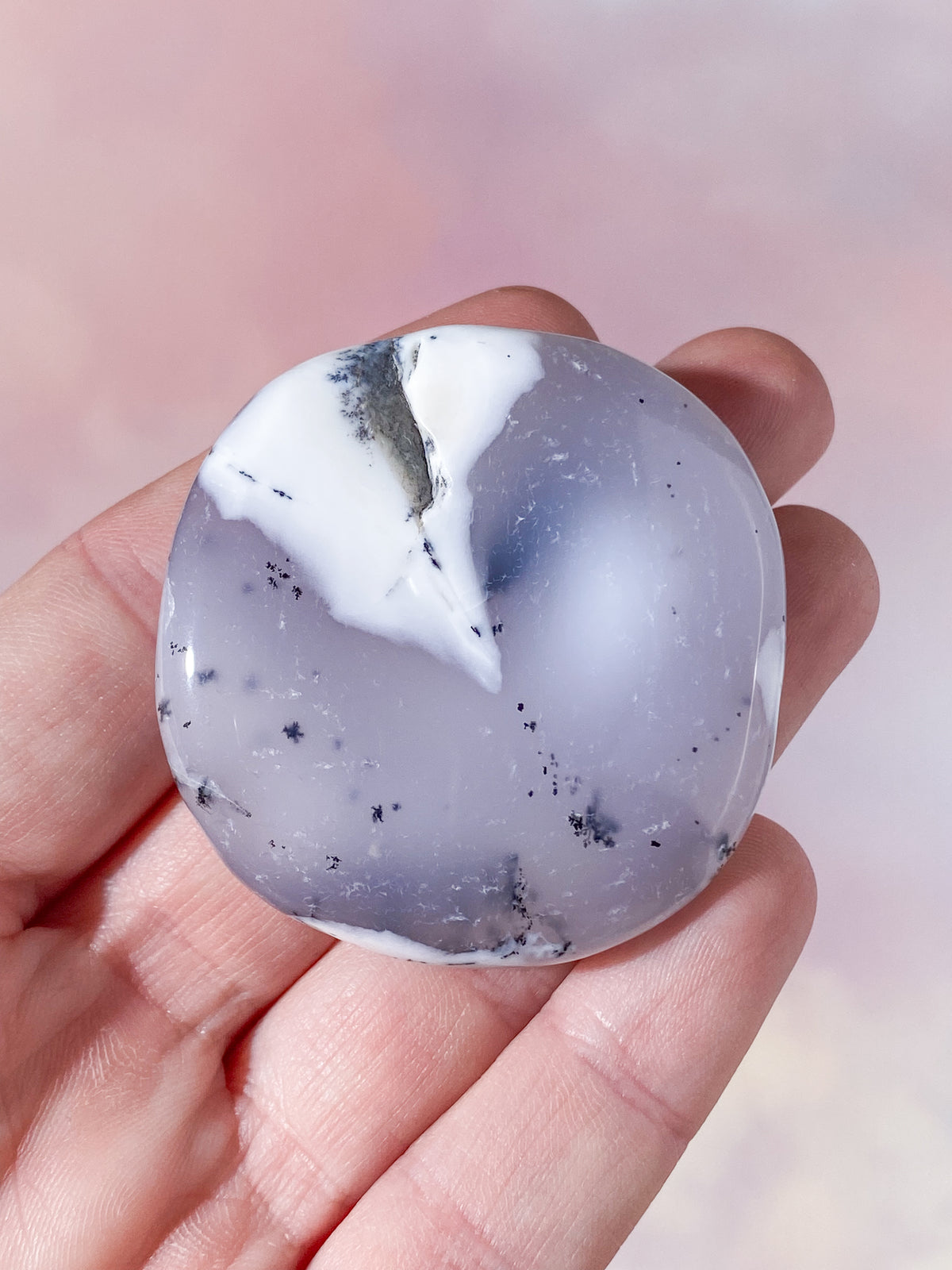 Dendritopal (nr 2)