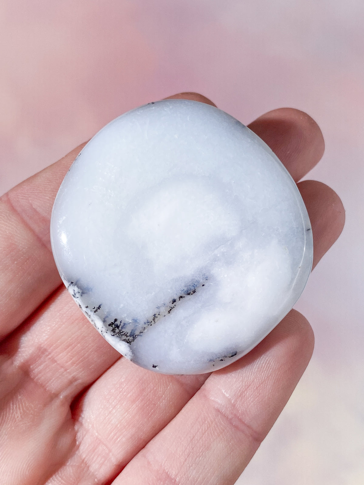 Dendritopal (nr 3)