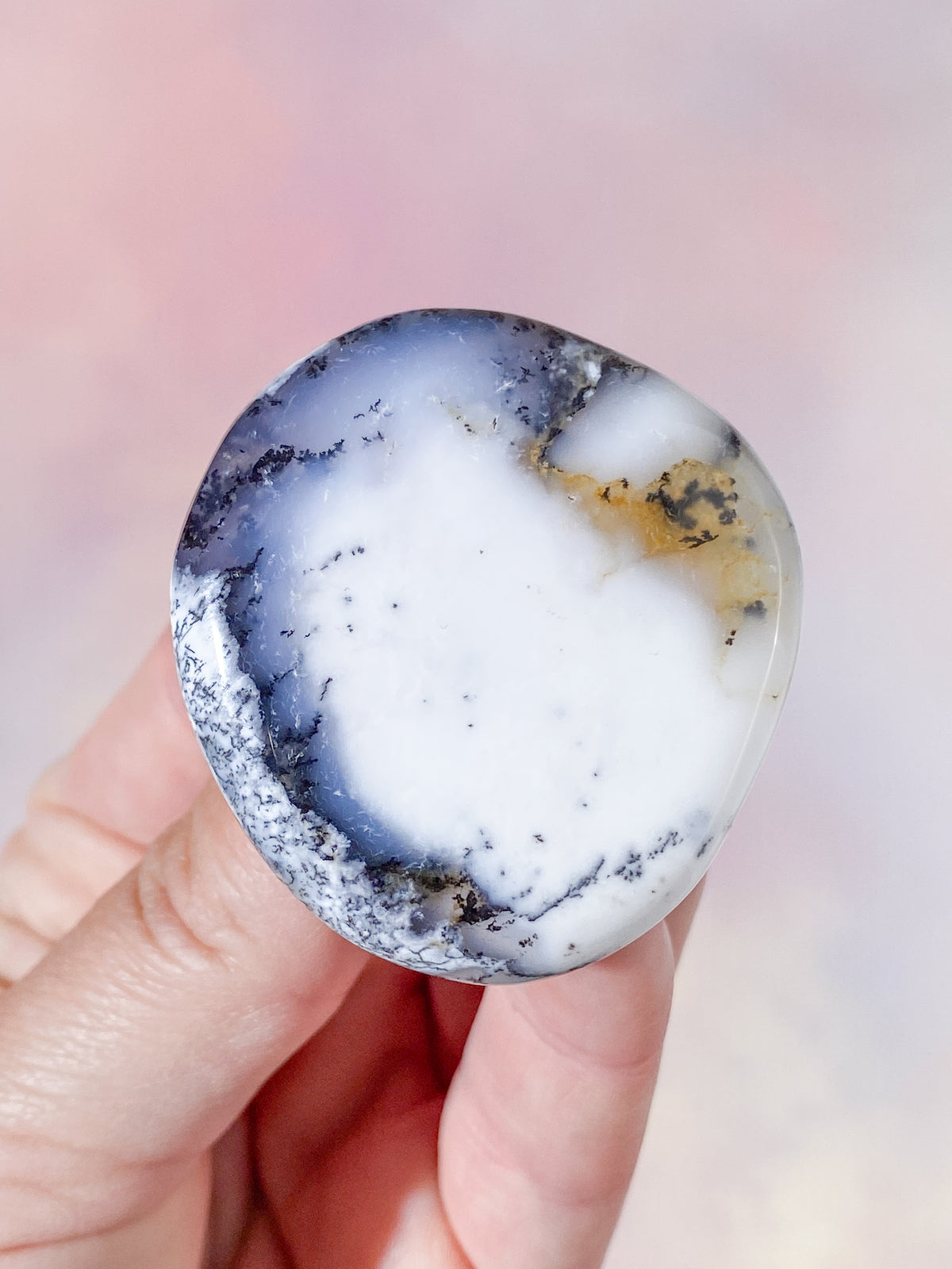 Dendritopal (nr 4)