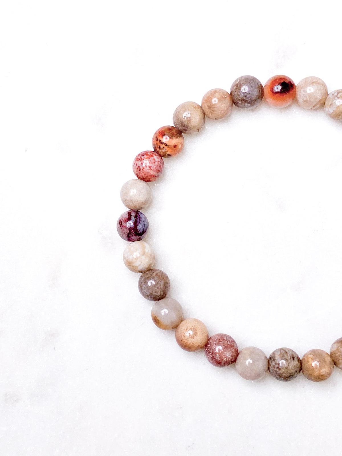 Armband med korallfossil