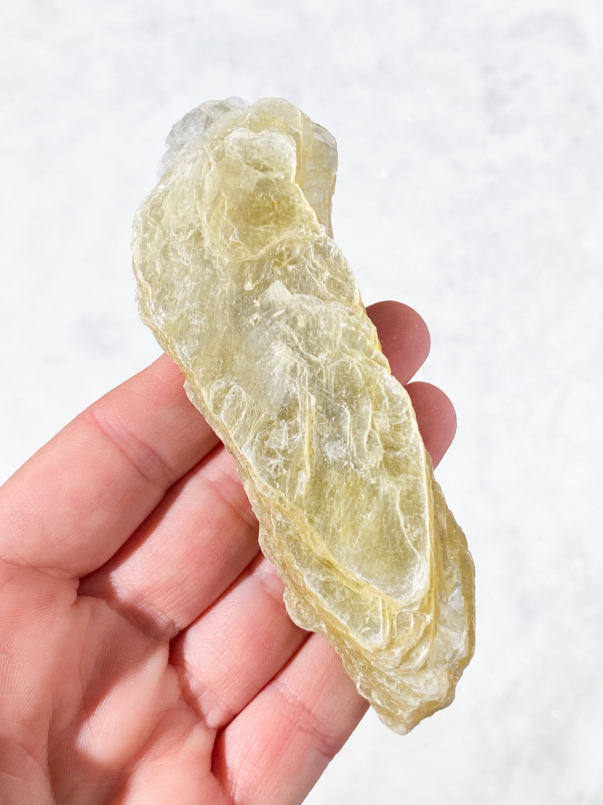 Gyllene glimmerrå (nr 1)