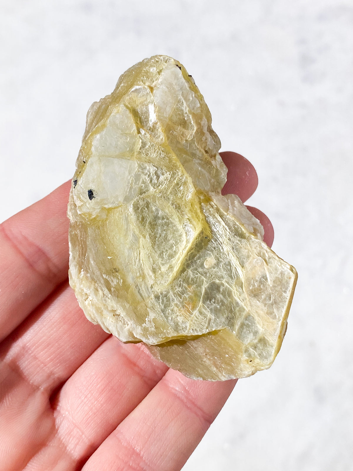 Gyllene glimmerrå (nr 8)