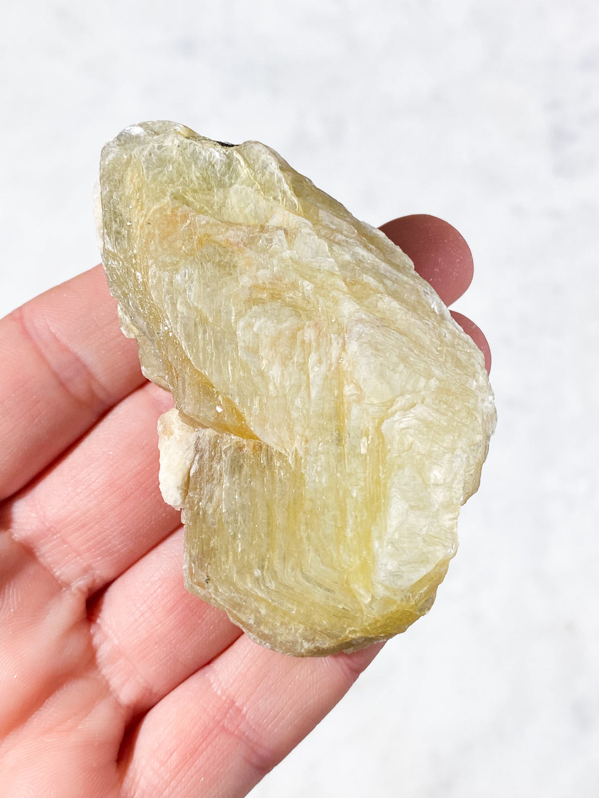 Gyllene glimmerrå (nr 8)