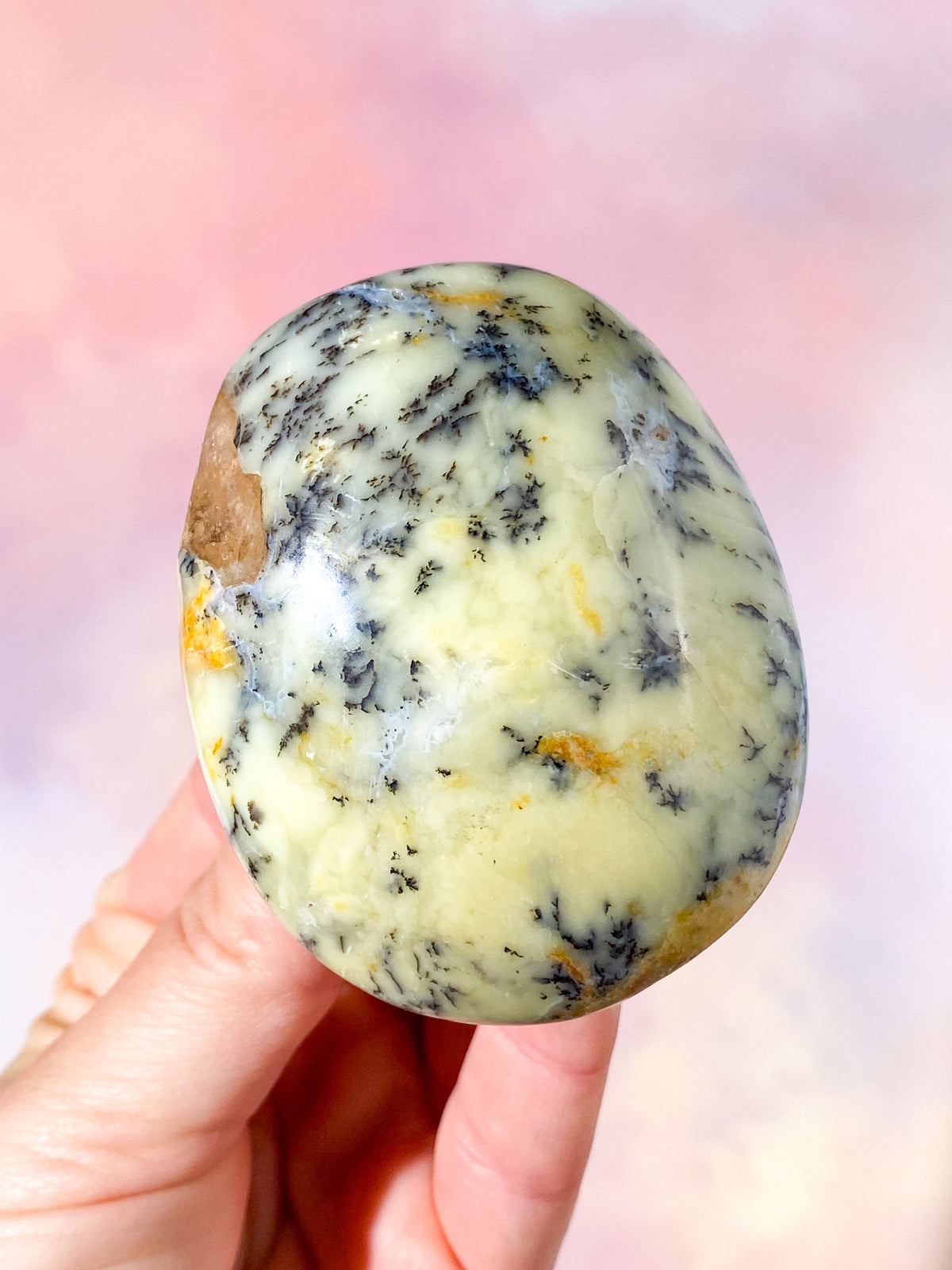 Grön Dendrit Opal Palmsten (Nr 2)