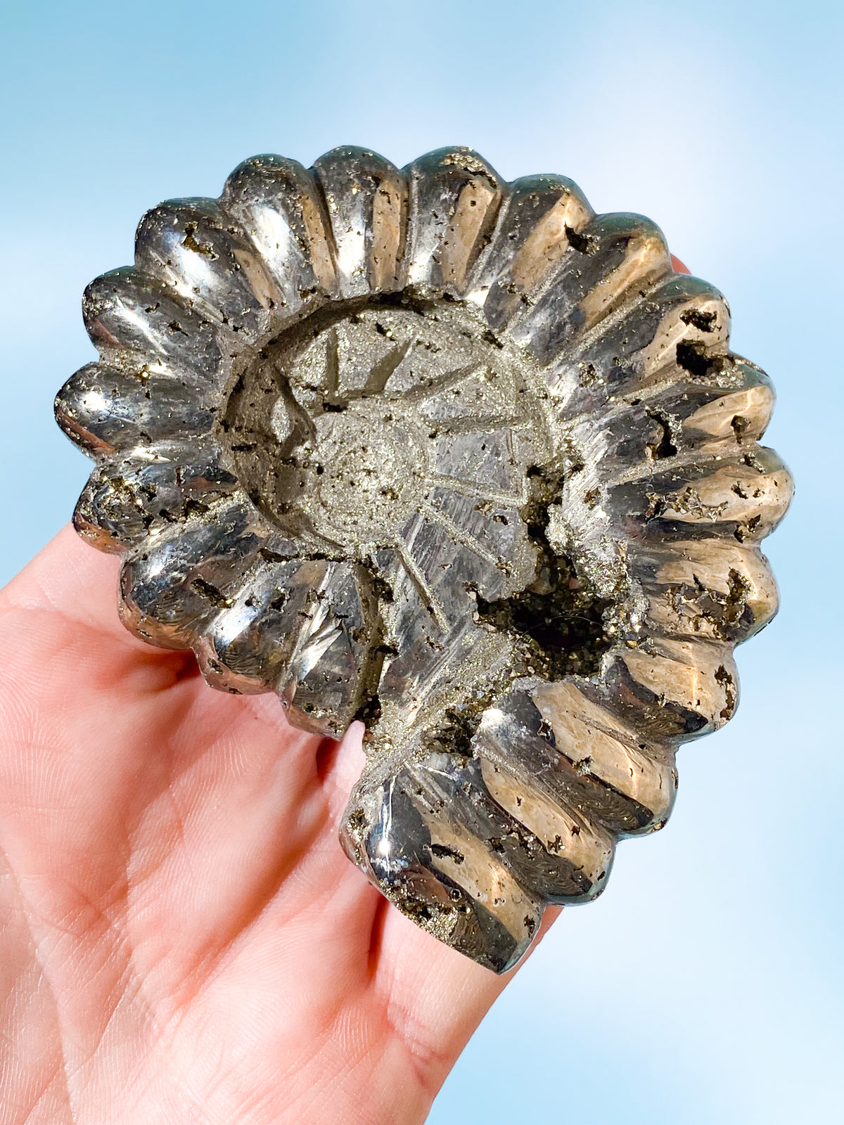 Pyrit Ammonit Utskärning (Nr. 3)