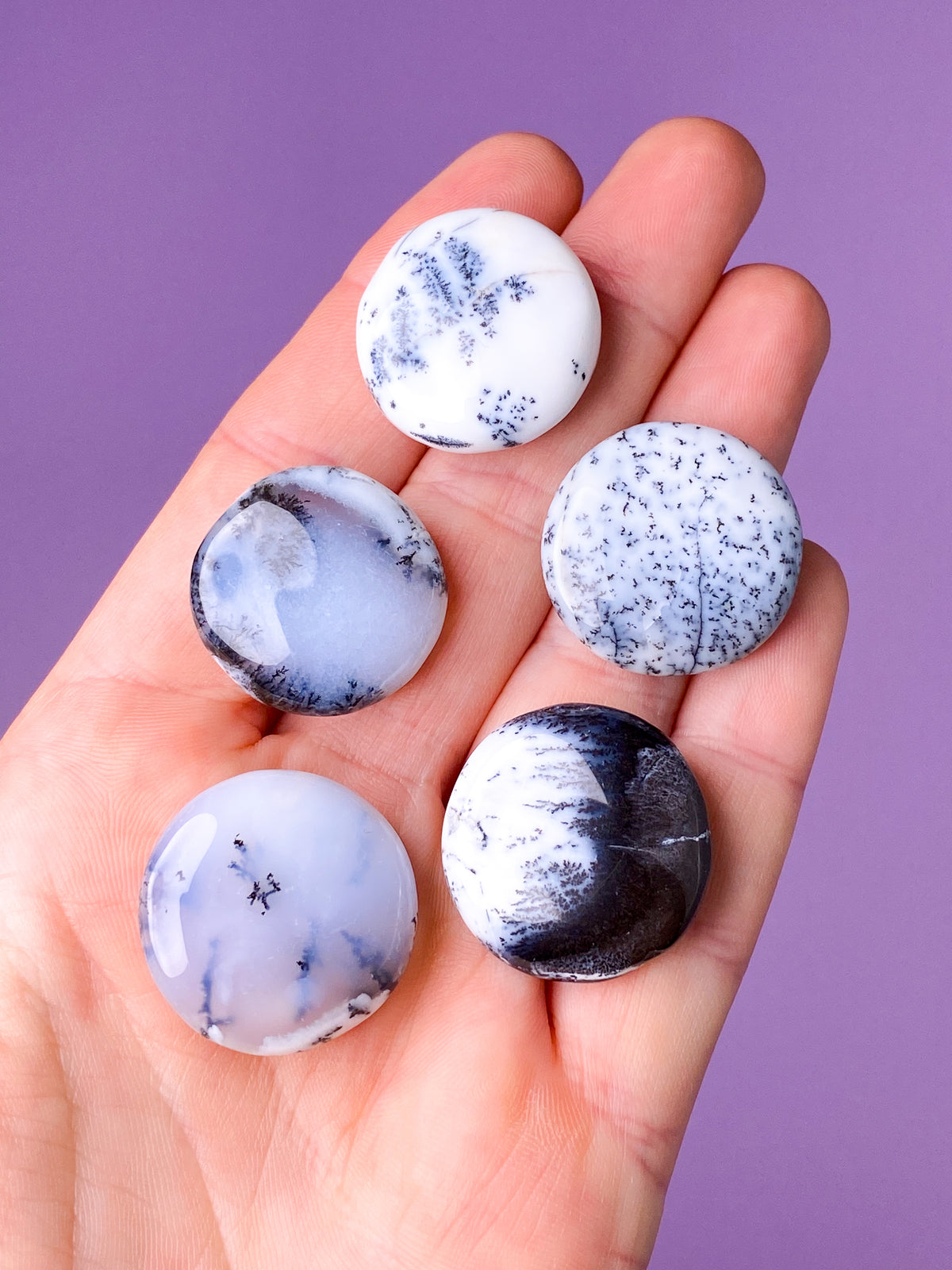 Dendrit Opal Mini Disc (Plat Polerad Pocket Stone)