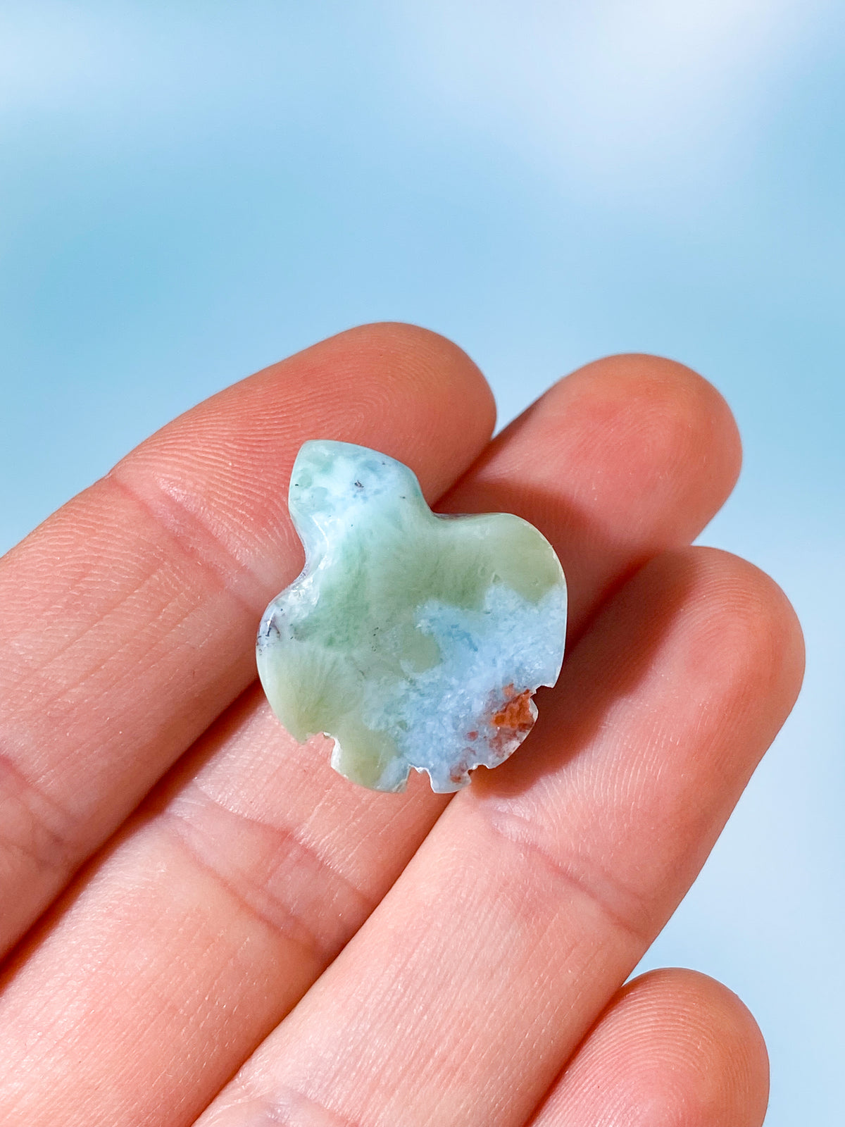 Larimar Sköldpadda (Nr. 2)