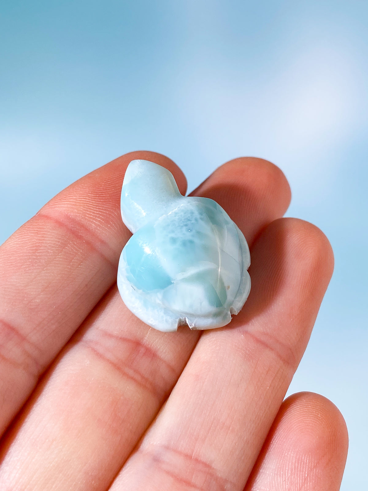 Larimar Sköldpadda (Nr. 3)