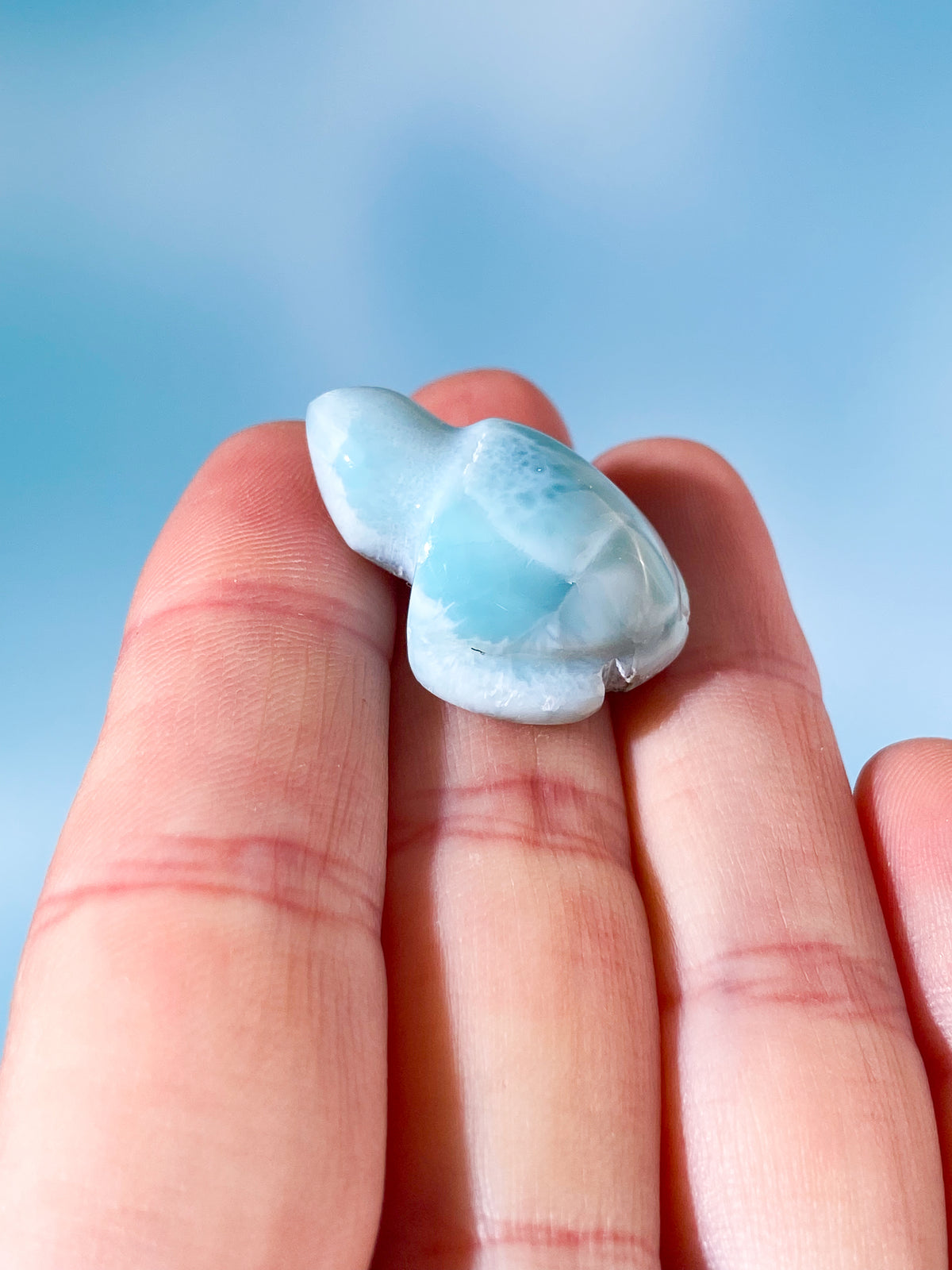 Larimar Sköldpadda (Nr. 3)