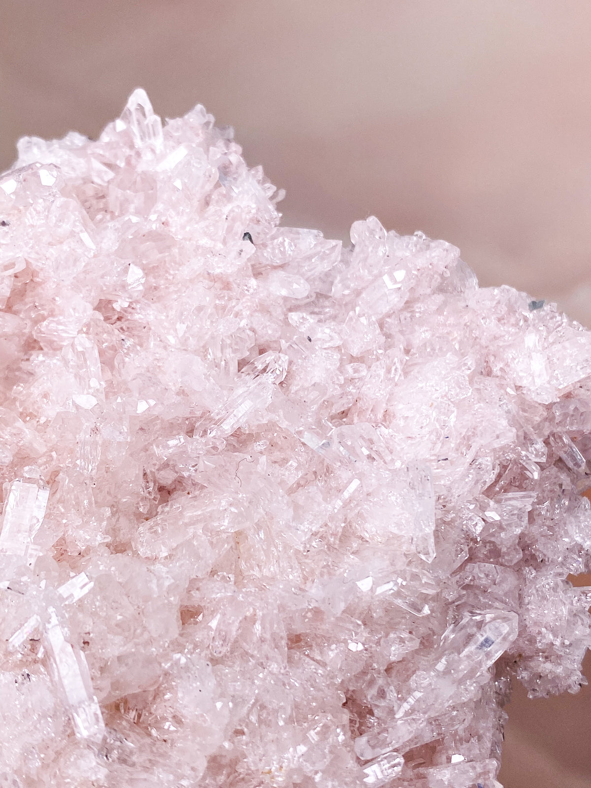 Rosa colombiansk lemurikvartskluster (nr 7) Exklusiv kvalitet