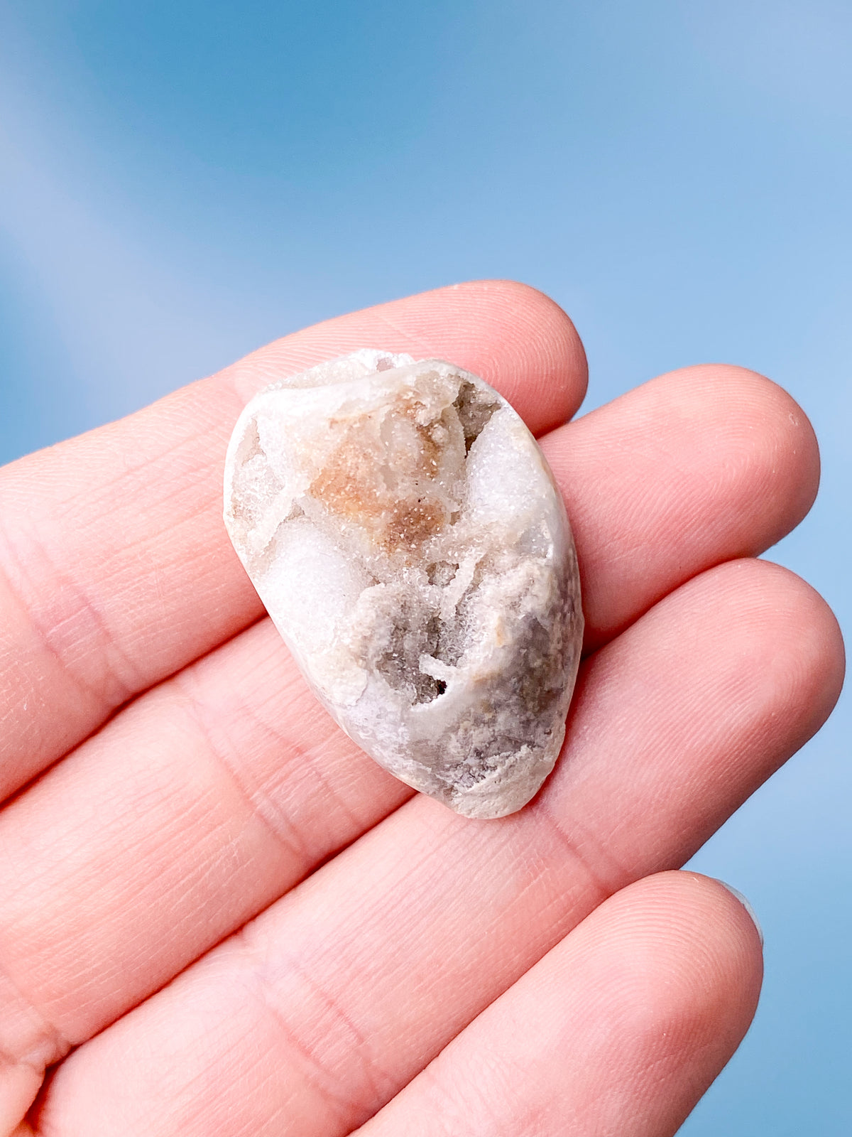 Druzy Conch Fossil (nr 20)